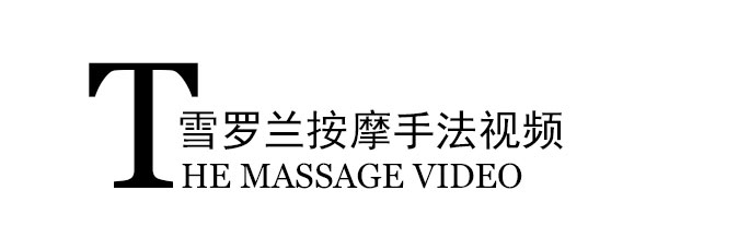 培训视频